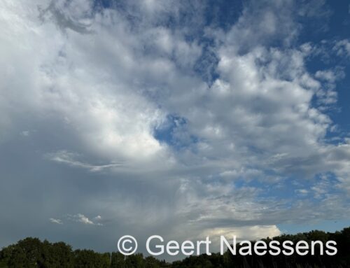 Veel bewolking met mogelijk wat regen of enkele (onweerachtige) buien; minder warm ook