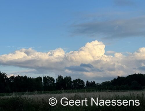 Mix van wolken en opklaringen met geleidelijk oplopende temperaturen