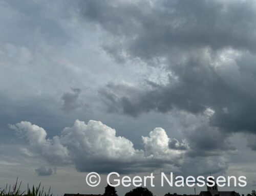 Snel zomers warm, maar onstabiel met wat wolken; vanavond mogelijk erg fel onweer, zeker in West-Vlaanderen