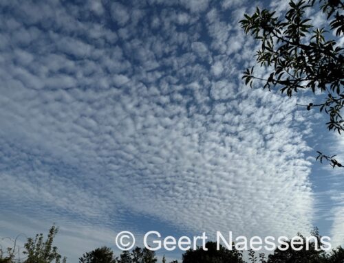 Wolken en zon in wisselende hoeveelheden met een kleine buienkans en opnieuw vrij zacht