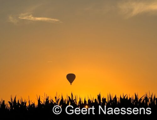 Veelal grijs en nevelig, mogelijk nog spatje motregen, maar wel aanhoudend zachte temperaturen