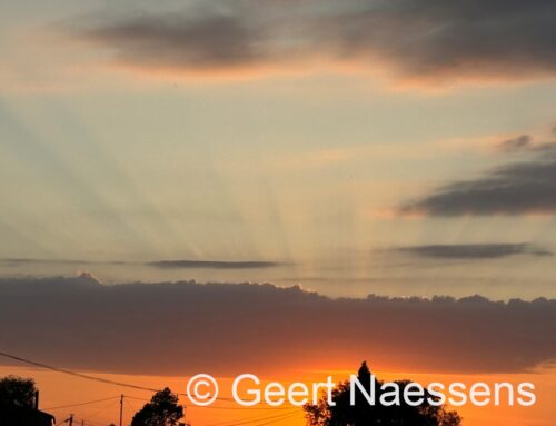 Perioden met regen en/of buien en geleidelijk ook veel wind