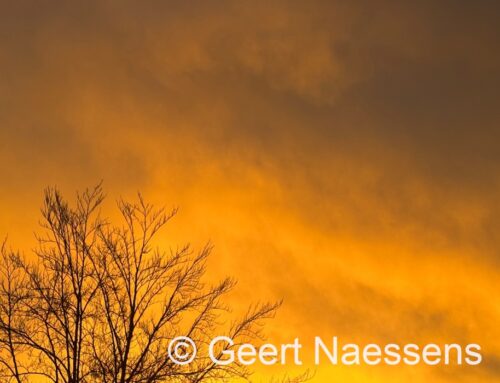 Buien, sommige kunnen erg fel zijn en veel wind, zeker aan de kust