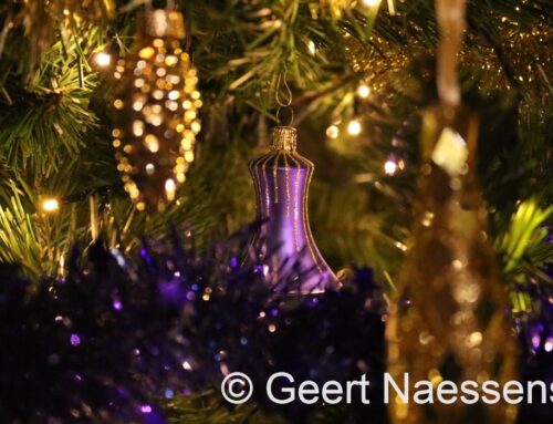 Erg rustige kerstdag, maar die verloopt grijs, nevelig en met wat gemiezer, maar erg zacht