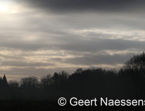 Het wordt zachter, straks gaan we naar 10 graden, maar met veel wolken