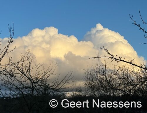 Vrij koude dag met geleidelijk meer bewolking en nog steeds een kleine buienkans