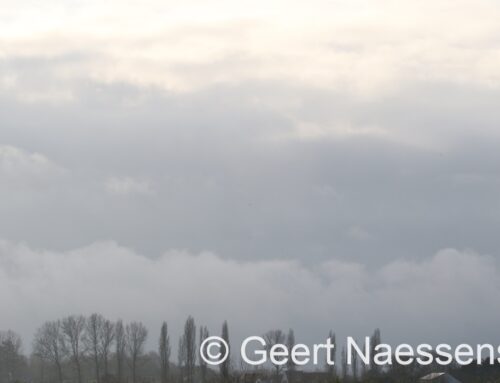 Toenemende bewolking; tegen de avond nadert een sneeuwzone: maar hoe ver noordelijk komt die?