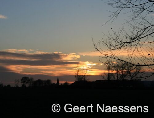 Koud weekeind voor de boeg, maar waarschijnlijk met steeds meer wolken, nevel en mist