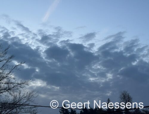 Veel bewolking, wat lichte regen om te starten; later droog, maar weinig zon en wat koeler