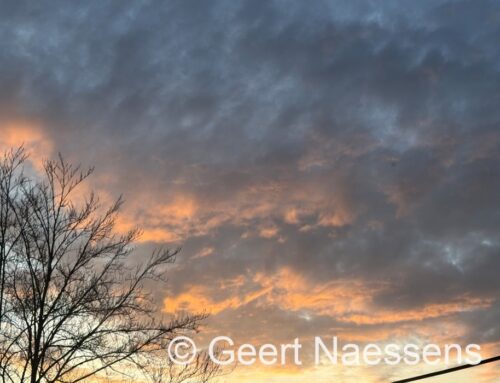 Veel wolken, soms wat regen en zachte maxima