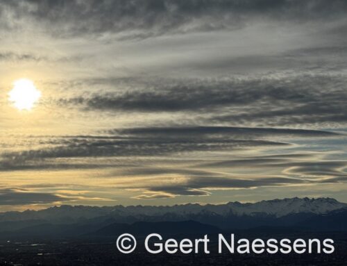 Hele zachte week op komst (met lente-dagen), maar vandaag wel weer veel wolken en wind en mogelijk wat gedruppel
