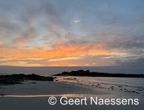 Veel wolken met ook vandaag erg zachte maxima en af en toe wat regen