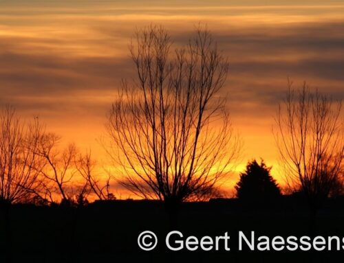 Opnieuw veel wolken, maar meest droog; verder vrij zacht met af en toe toch een streepje zon