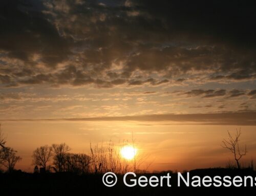 Opnieuw heel zacht, maar wel iets minder met wat meer wolken en aan de kust ook een zeebries