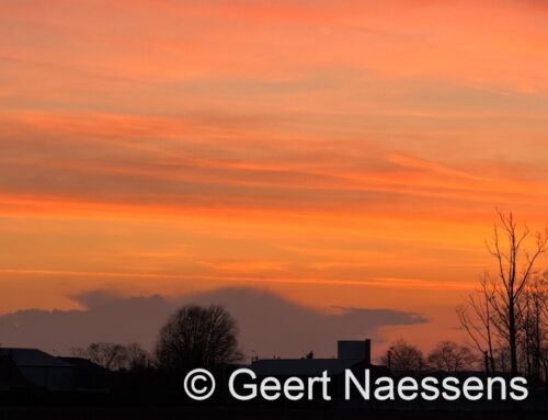 Verspreide buien doorheen de dag waarbij het nog steeds zacht is (maar minder) en er komt ook meer wind