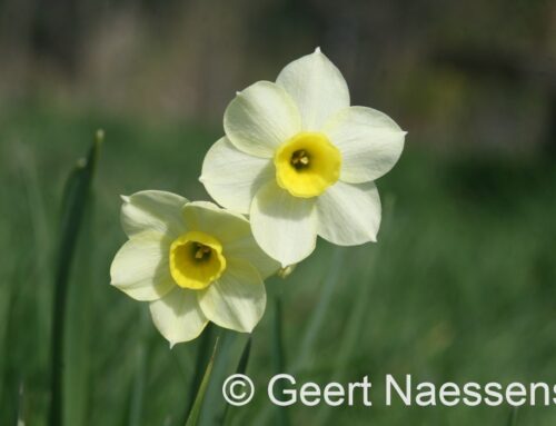 Mooi en zonnig weekend al is het aan zee wel wat minder warm