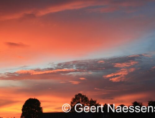 Eerst veel wolken, geleidelijk en vooral vanmiddag opklarend